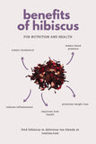 Hibiscus Add On {Seamoss Gel)